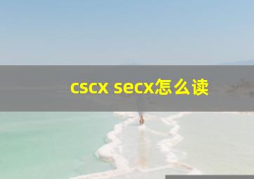 cscx secx怎么读